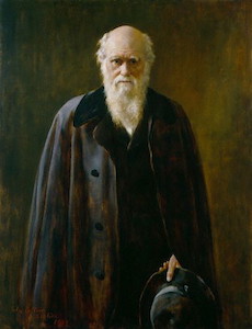 Charles Darwin, portrait by John Collier